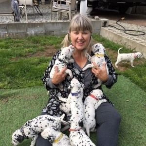 Meet your Posher, Lorri